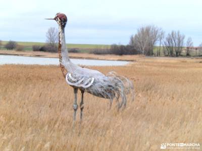 Daroca Salvaje_Gallocanta-Pinsapar de Orcajo; ruta del rio borosa viajes originales cabriel macizo c